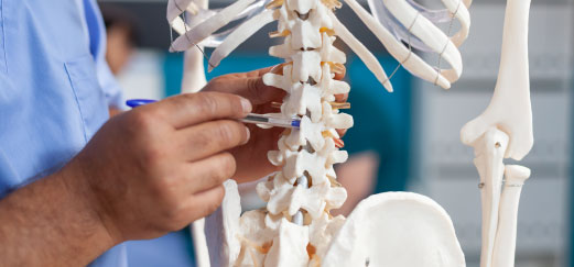 Medical Network With Chiropractic Services For Car Accidents